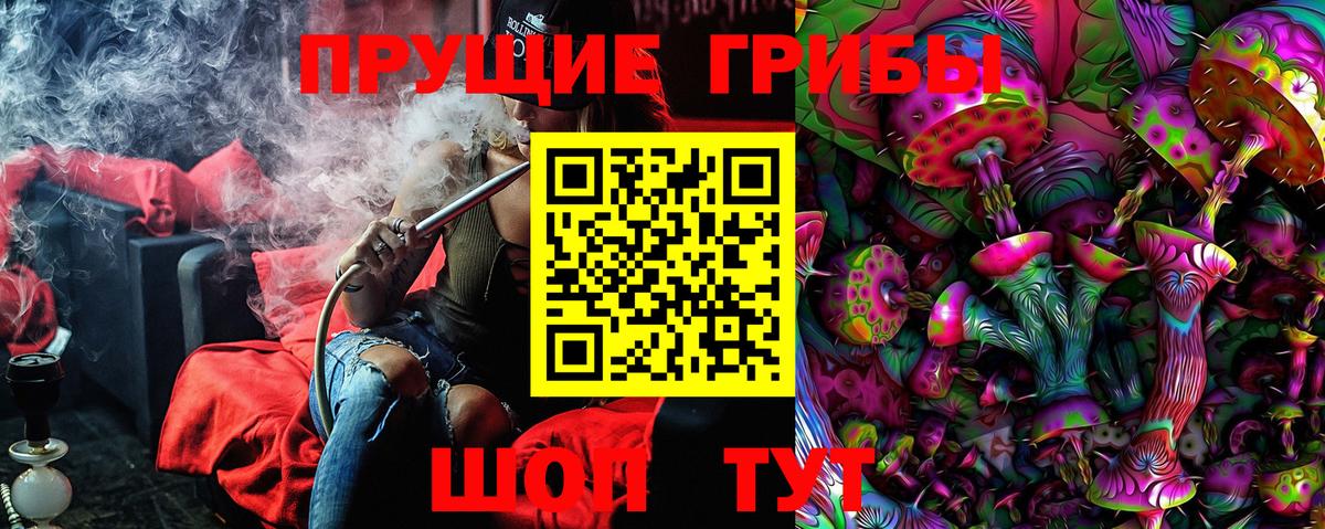 Галлюциногенные грибы прущие грибы  Вход с VPN  Петрозаводск 